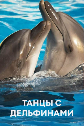 Танцы с дельфинами