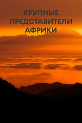 Крупные представители Африки