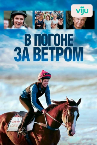 В погоне за ветром