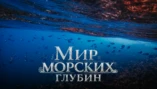2-я серия