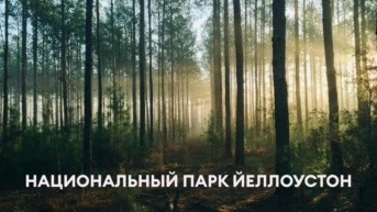 Национальный парк Йеллоустон