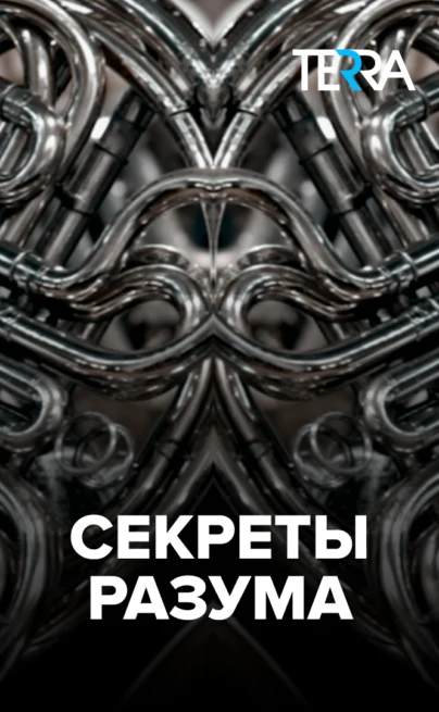 Секреты разума