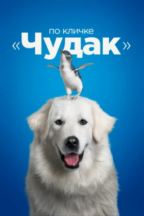 По кличке 'Чудак'