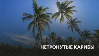 Нетронутые Карибы