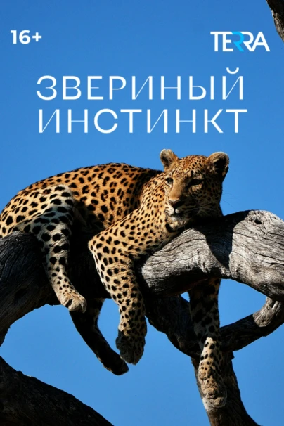 Звериный инстинкт