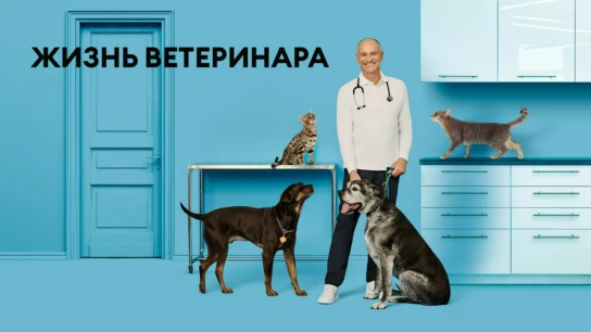 Жизнь ветеринара