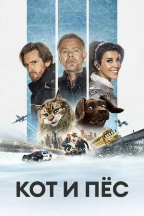 Кот и пёс