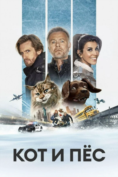 Кот и пёс
