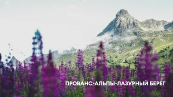 Прованс-Альпы-Лазурный берег
