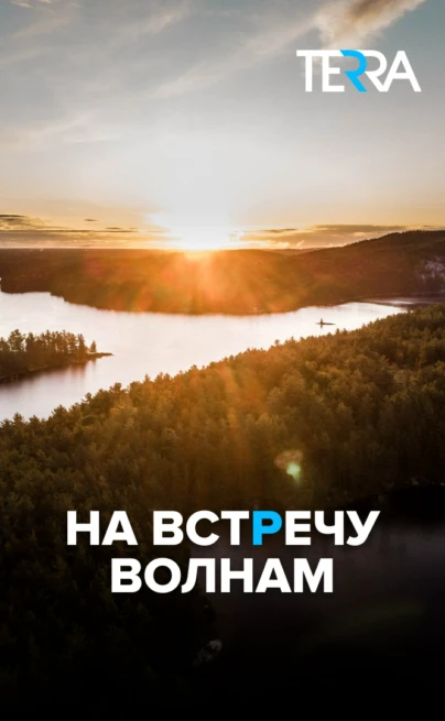 Навстречу волнам