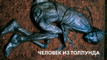 Человек из Толлунда
