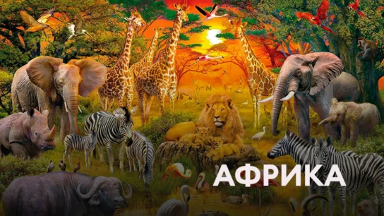 Африка