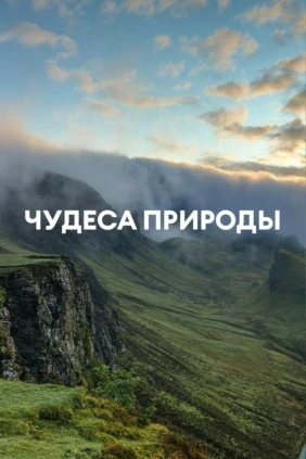 Чудеса природы
