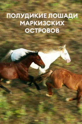 Полудикие лошади Маркизских островов