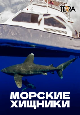 Морские хищники