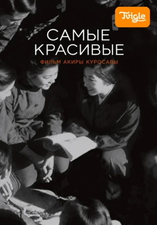 Самые красивые