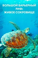 Большой Барьерный риф: живое сокровище