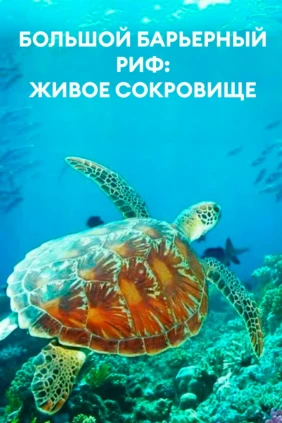 Большой Барьерный риф: живое сокровище
