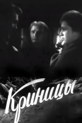 Криницы
