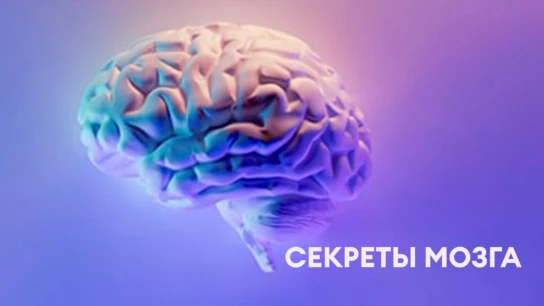 Секреты мозга