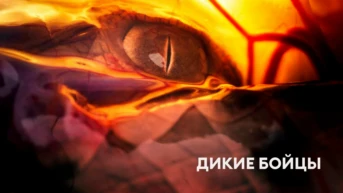 Дикие бойцы