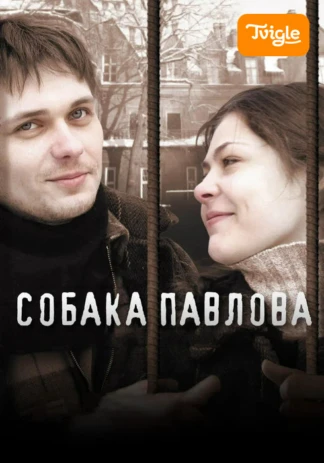 Собака Павлова