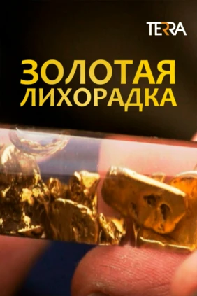 Золотая лихорадка