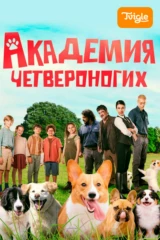 Академия четвероногих