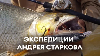 Экспедиции Андрея Старкова