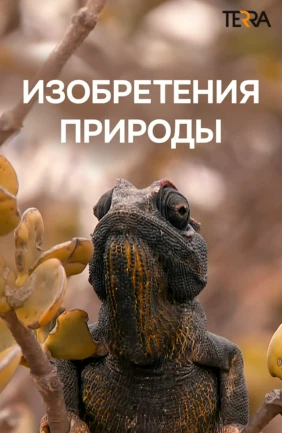Изобретения природы