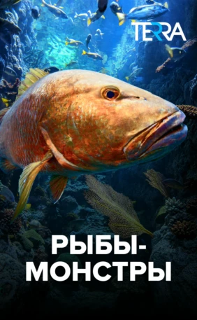 Рыбы-монстры