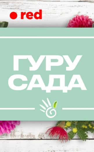 Гуру сада