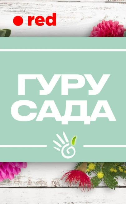 Гуру сада