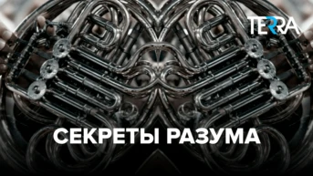 Секреты разума