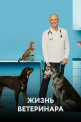 Жизнь ветеринара