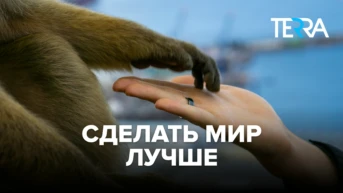 Сделать мир лучше