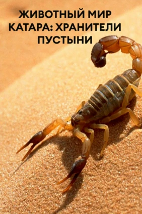 Животный мир Катара: Хранители Пустыни
