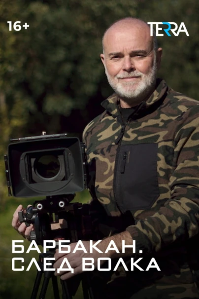 Барбакан. След волка