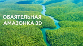 Обаятельная Амазонка 3D