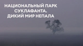 Национальный парк Суклафанта. Дикий мир Непала