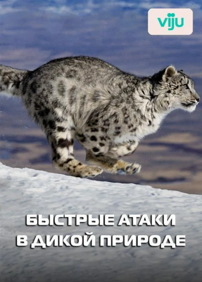 Быстрые атаки в дикой природе