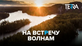 Навстречу волнам