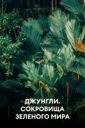 Джунгли. Сокровища зеленого мира