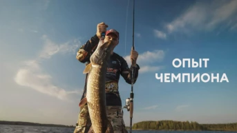 Опыт чемпиона