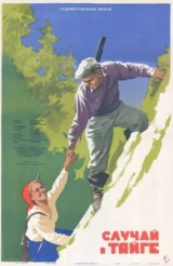 Случай в тайге