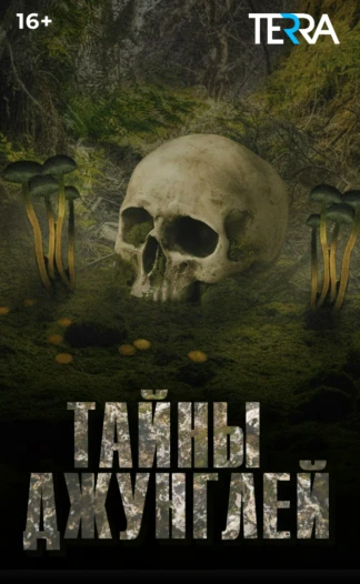 Тайны джунглей