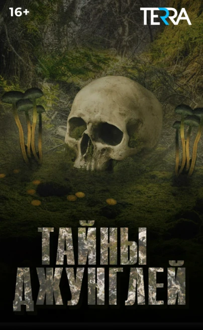 Тайны джунглей