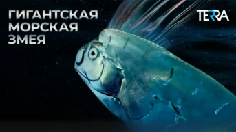 Гигантская морская змея