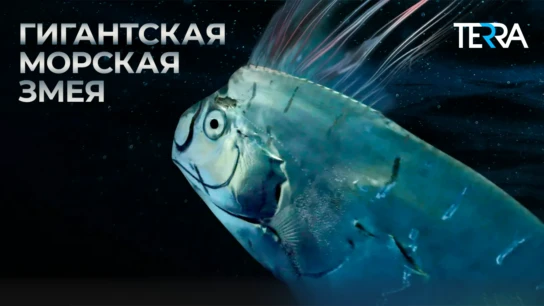 Гигантская морская змея
