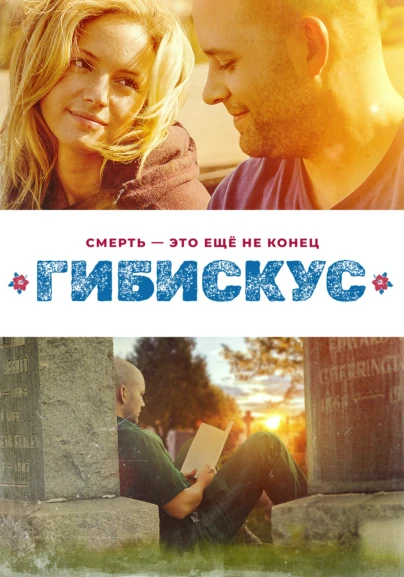 Гибискус